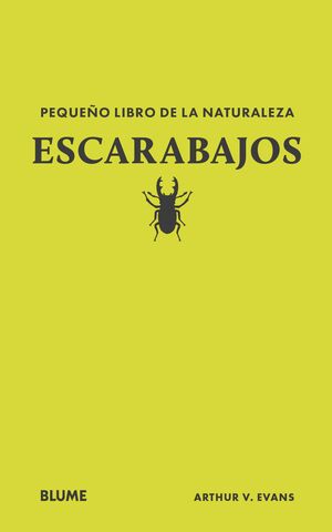 ESCARABAJOS