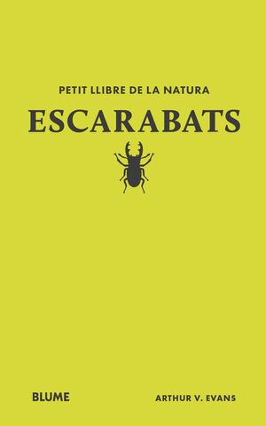 ESCARABATS