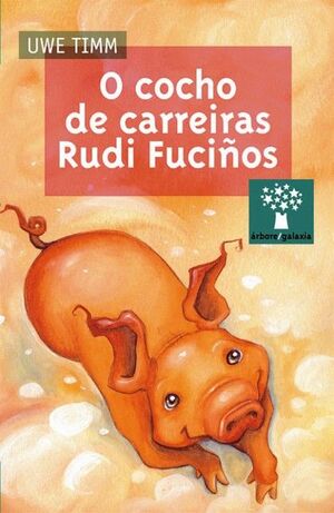 O COCHO DE CARREIRAS RUDI FUCÑOS