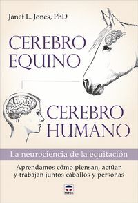 CEREBRO EQUINO CEREBRO HUMANO